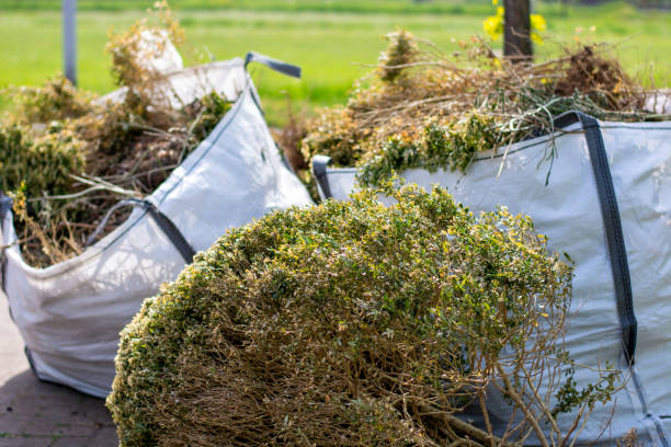 Best Basement Cleanout Services  in Kittery Point, ME